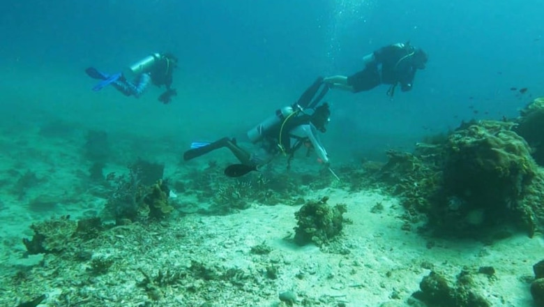 Raja Ampat, Surga Menyelam bagi Diver Internasional