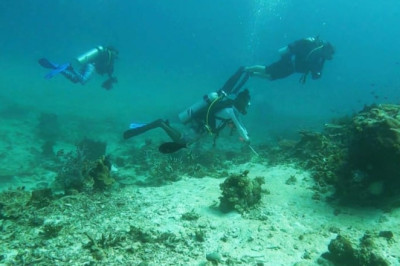 Raja Ampat, Surga Menyelam bagi Diver Internasional