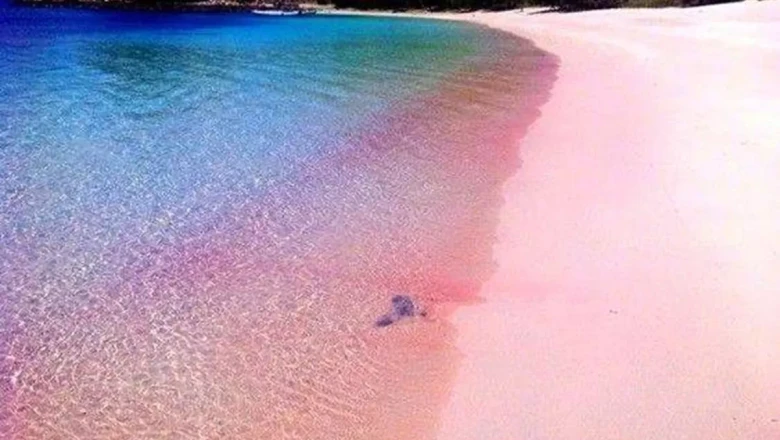 Melongok Keindahan Pink Beach Lombok, Pantai dengan Pasir Berwarna Merah Muda