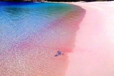 Melongok Keindahan Pink Beach Lombok, Pantai dengan Pasir Berwarna Merah Muda